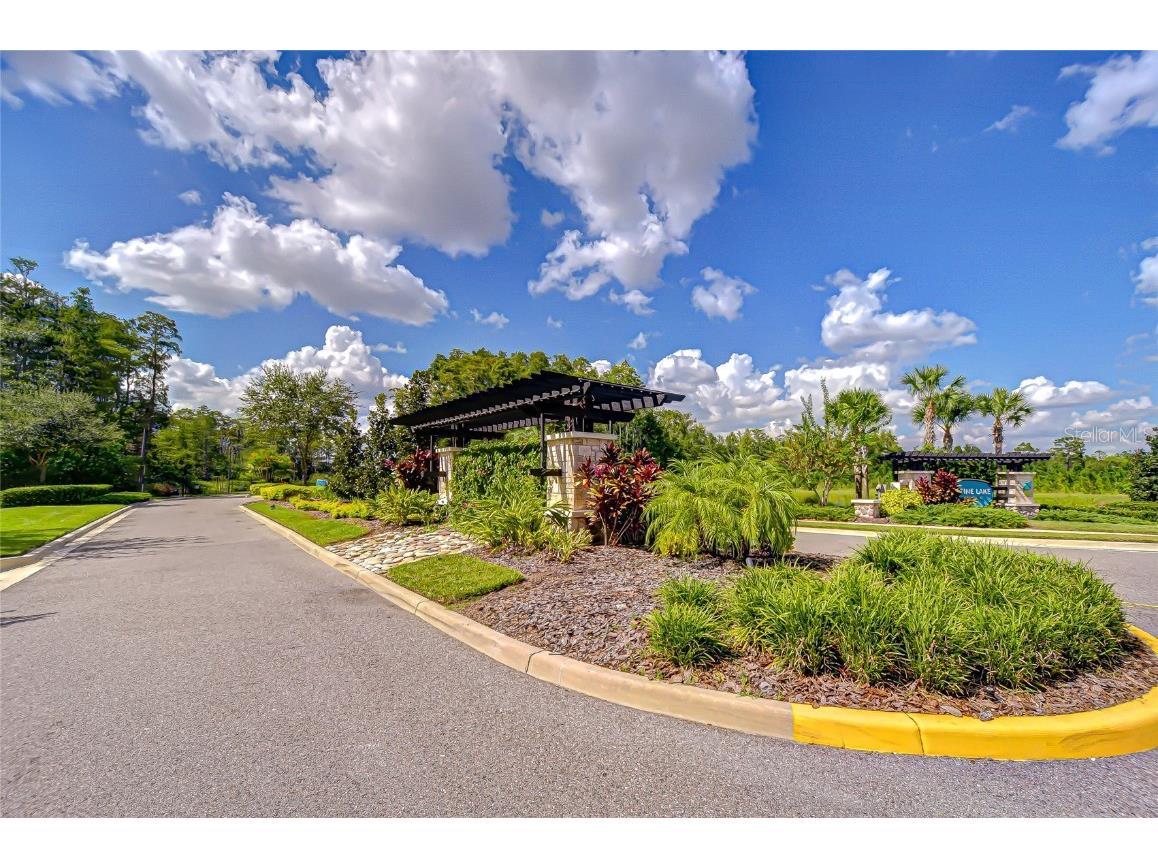 21867 Amelia Rose Way Land O Lakes FL 34637 - CURVE LAKE TB8432549 image68