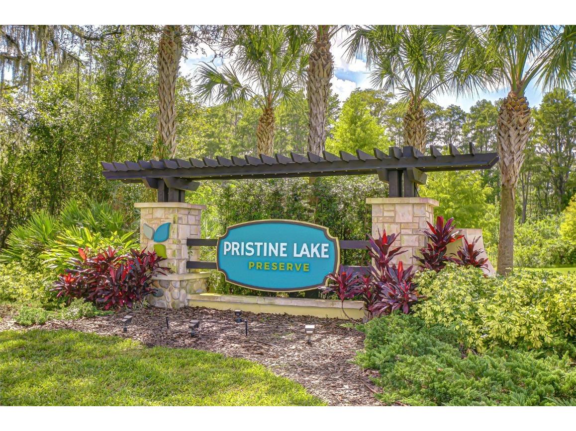 21867 Amelia Rose Way Land O Lakes FL 34637 - CURVE LAKE TB8432549 image69