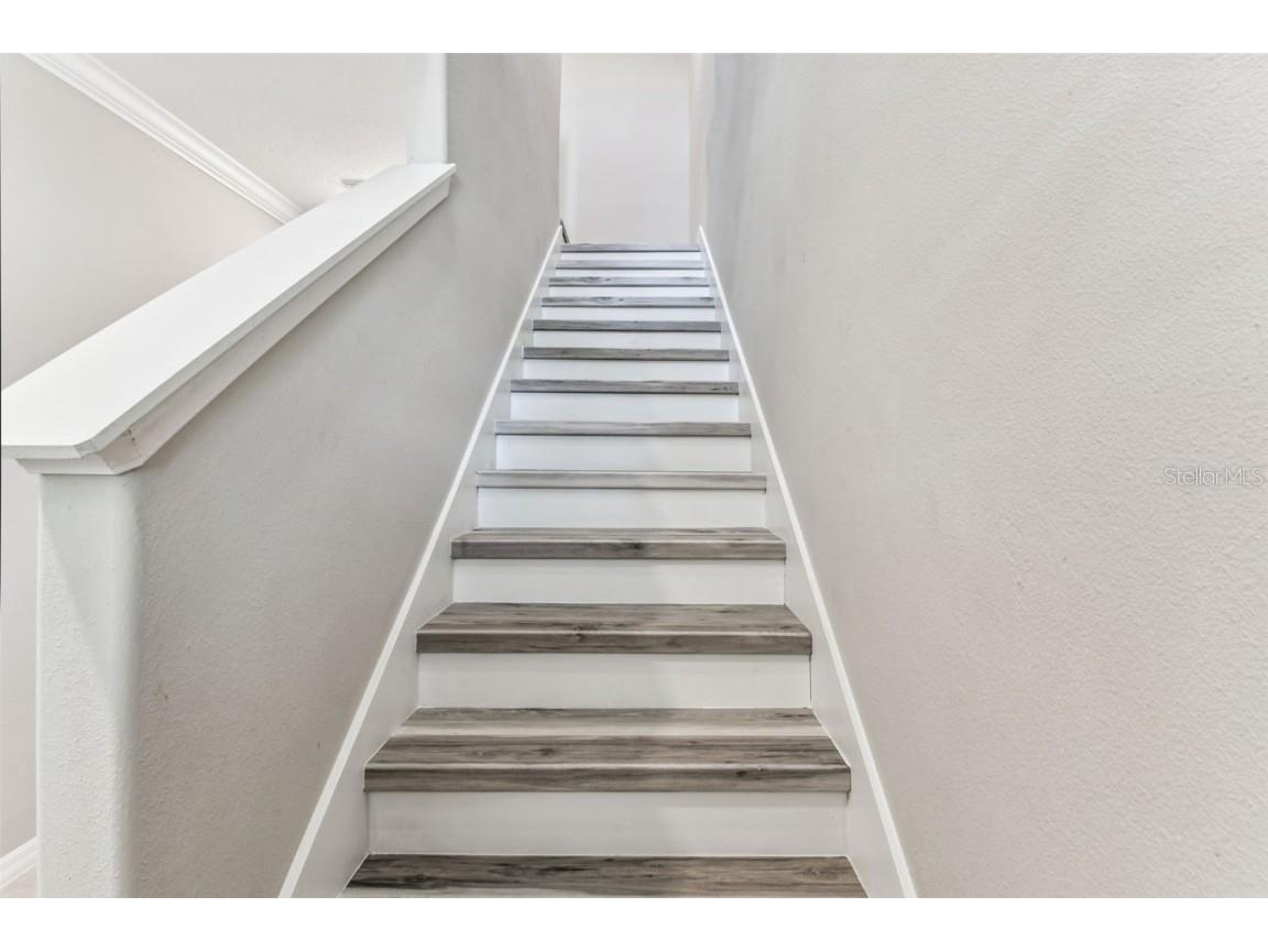 21869 Adriatic Lane Land O Lakes FL 34637 TB8439250 image14