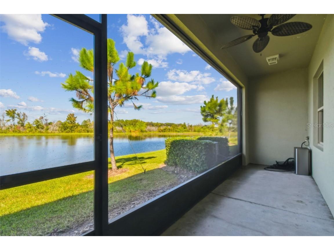 21869 Adriatic Lane Land O Lakes FL 34637 TB8439250 image30