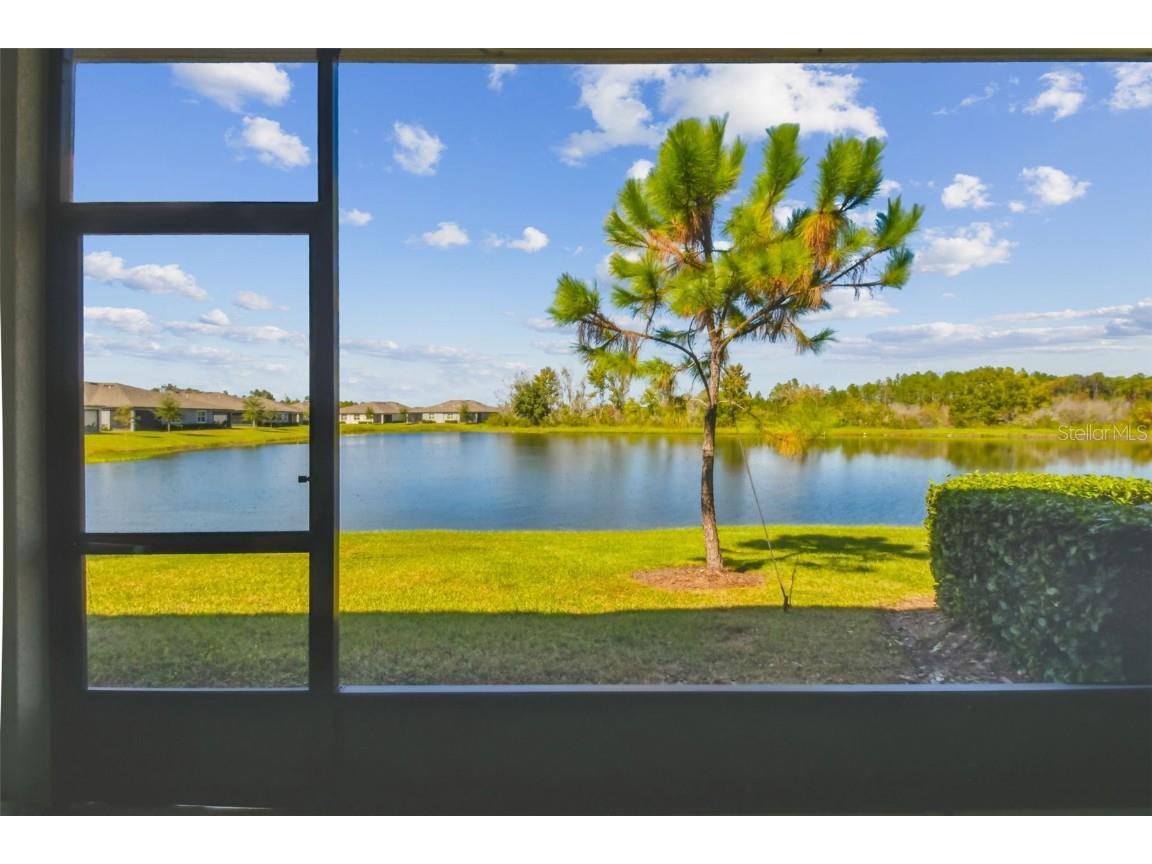 21869 Adriatic Lane Land O Lakes FL 34637 TB8439250 image31