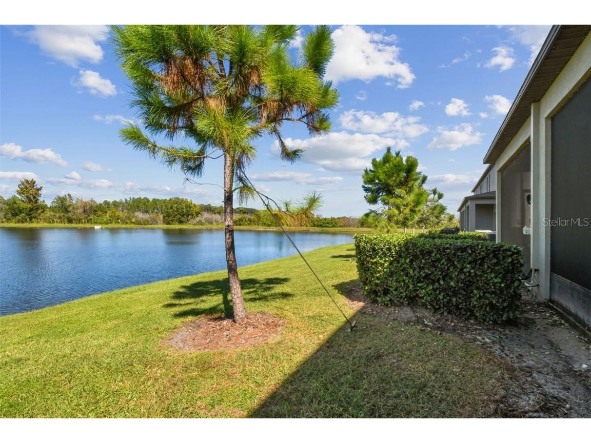 21869 Adriatic Lane Land O Lakes FL 34637 TB8439250 image32