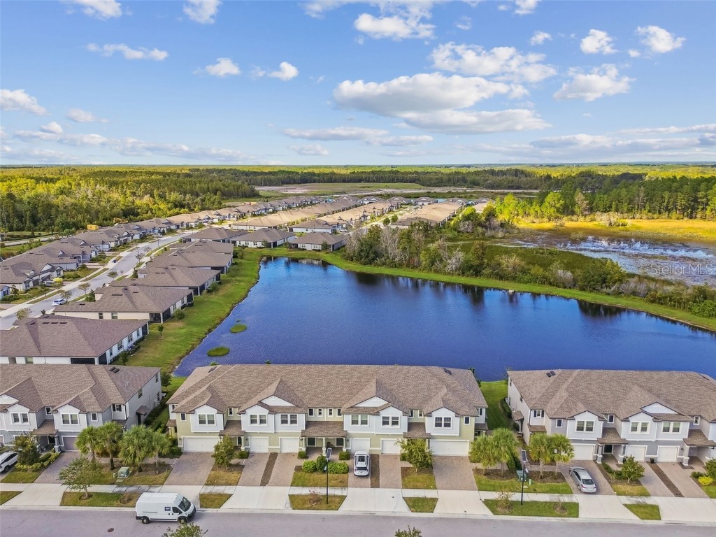 21869 Adriatic Lane Land O Lakes FL 34637 TB8439250 image35