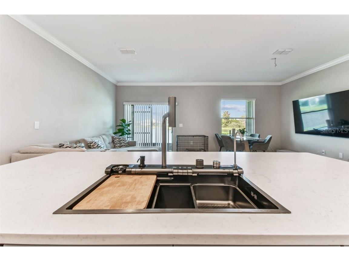 21869 Adriatic Lane Land O Lakes FL 34637 TB8439250 image7