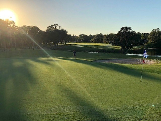 2187 Corinne Court S #C Saint Petersburg FL 33712 TB8416114 image6