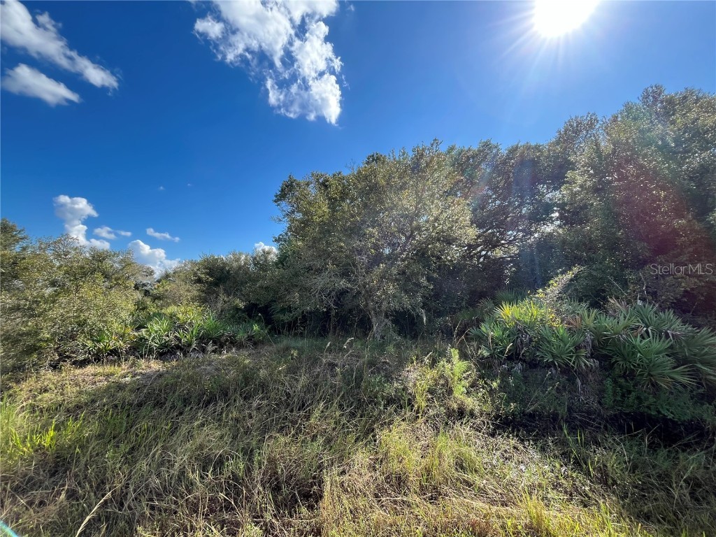 21872 NW 278th Street Okeechobee FL 34972 OK224604 image1