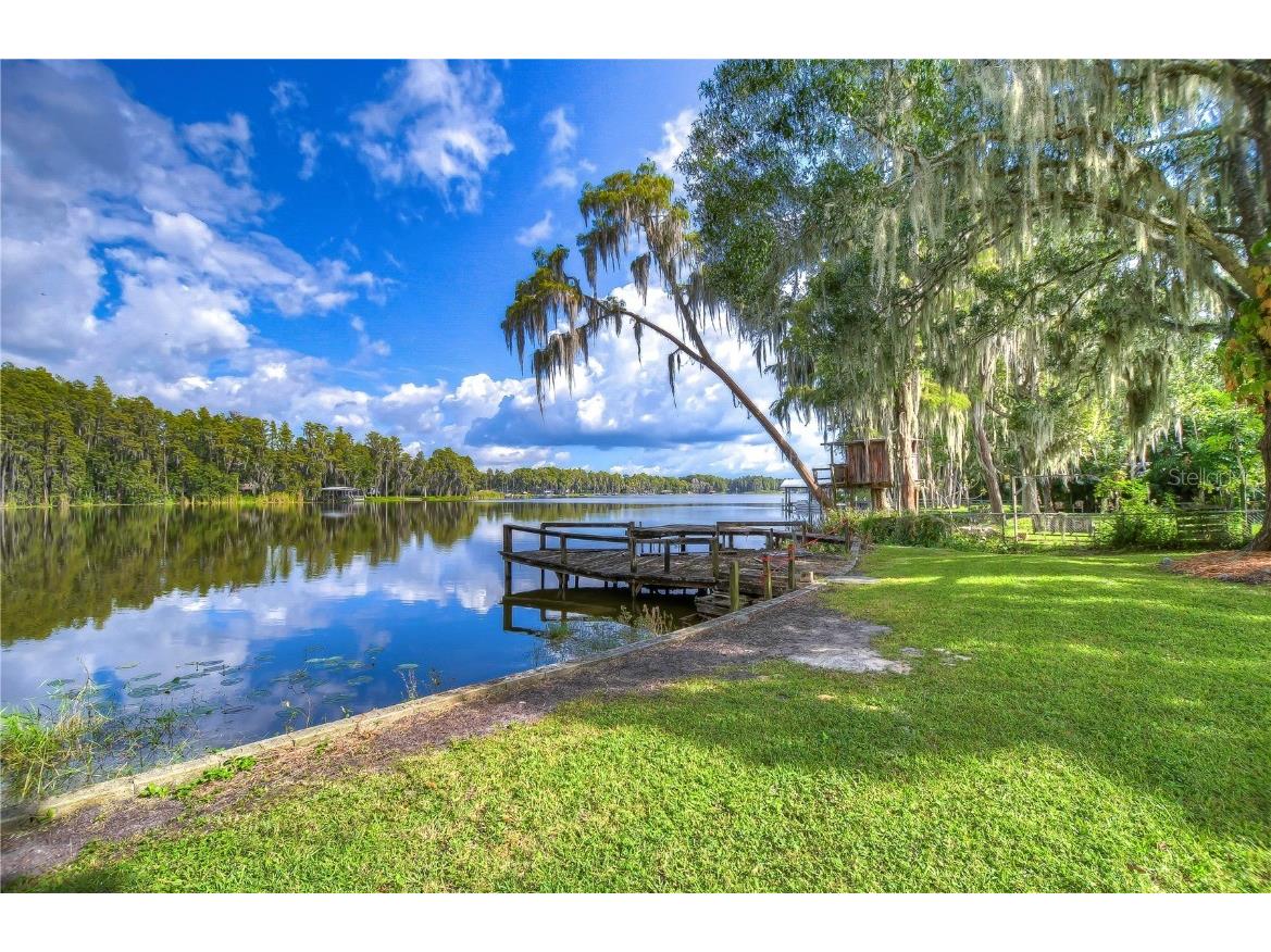 21872 Pineywood Loop Land O Lakes FL 34639 - King Lake U8217358 image1