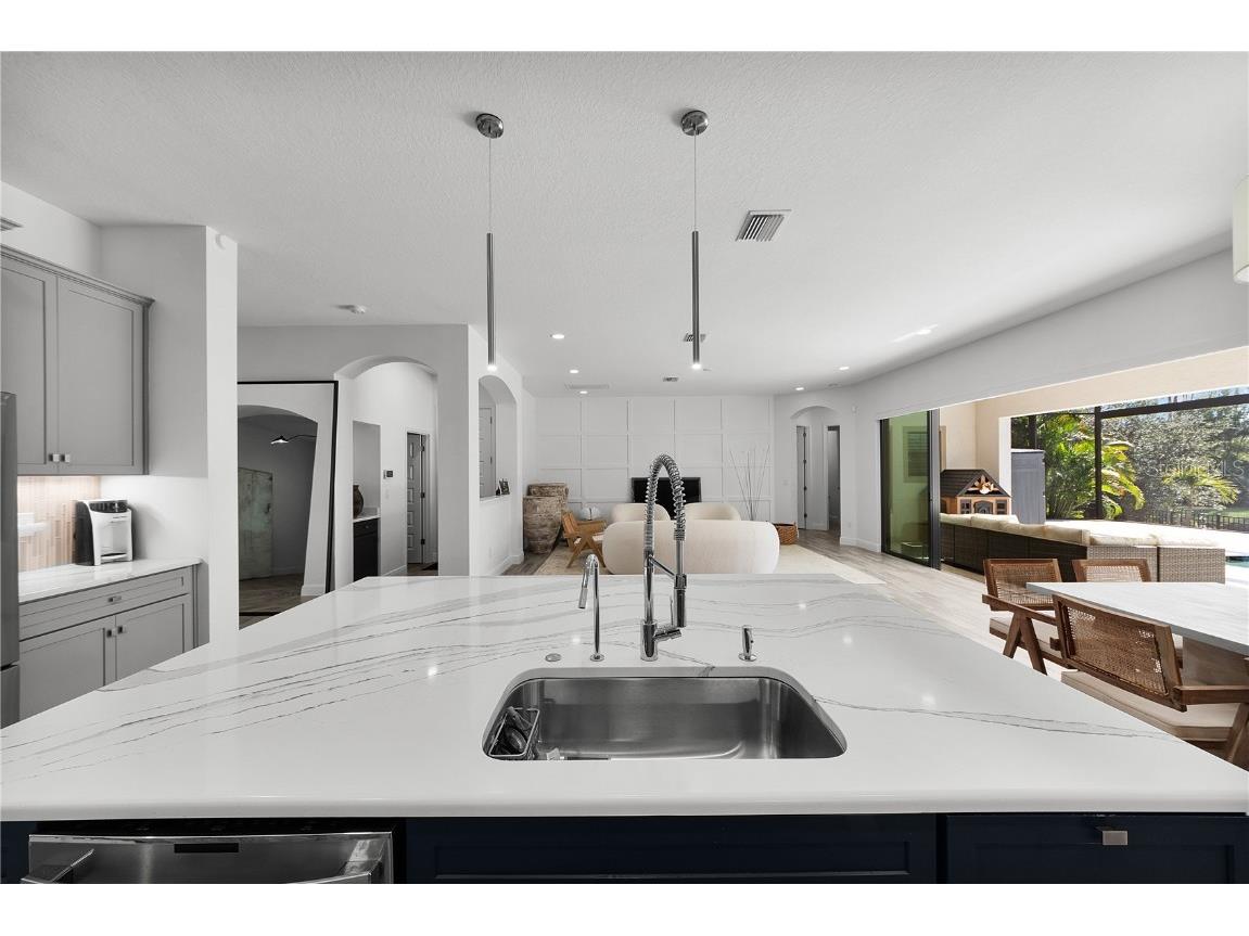 21878 Pristine Lake Boulevard Land O Lakes FL 34637 - ACCESS TO CURVE LAKE TB8451831 image18