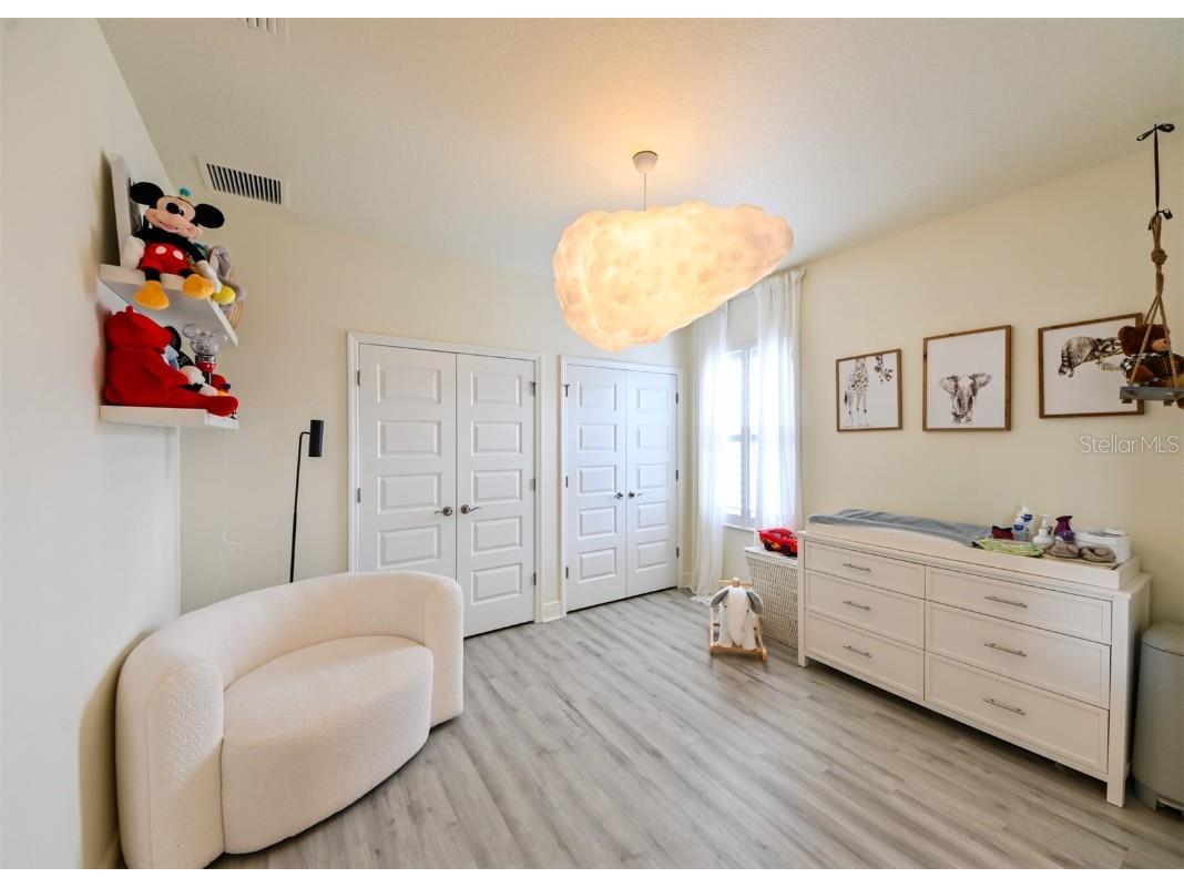 21878 Pristine Lake Boulevard Land O Lakes FL 34637 - ACCESS TO CURVE LAKE TB8451831 image27