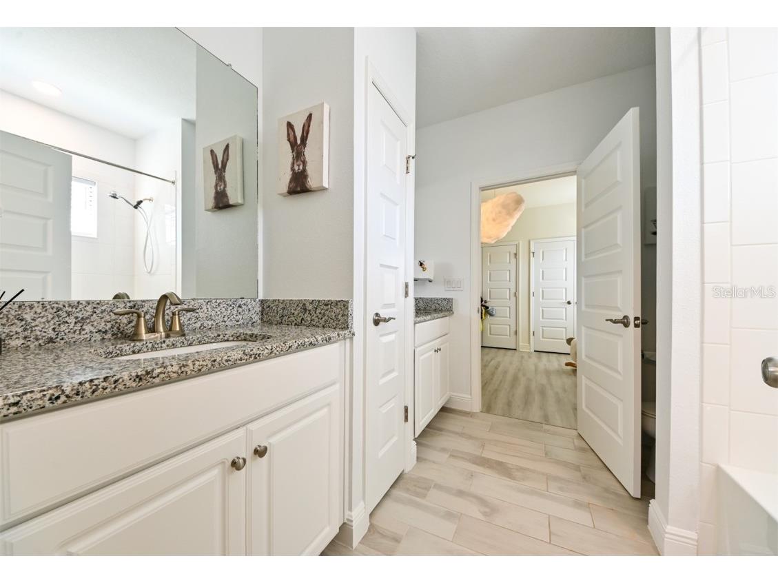 21878 Pristine Lake Boulevard Land O Lakes FL 34637 - ACCESS TO CURVE LAKE TB8451831 image28