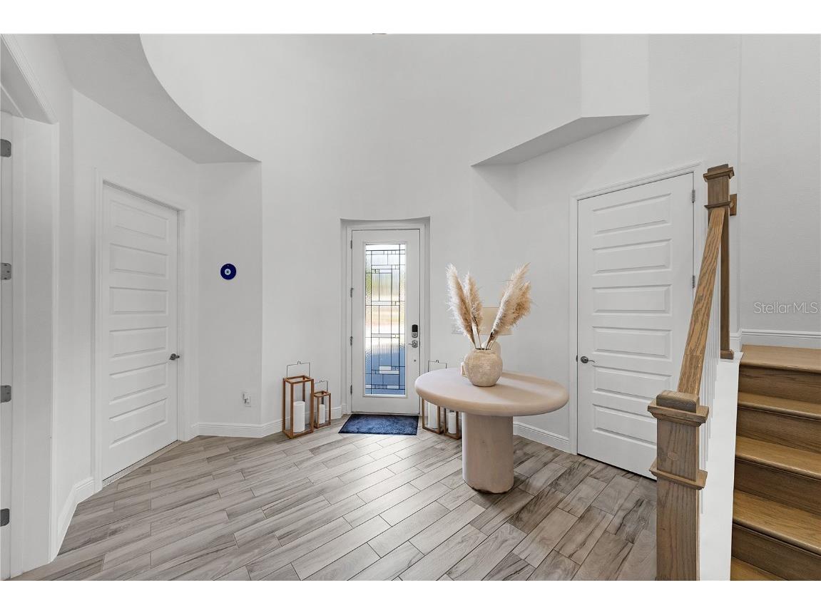 21878 Pristine Lake Boulevard Land O Lakes FL 34637 - ACCESS TO CURVE LAKE TB8451831 image4