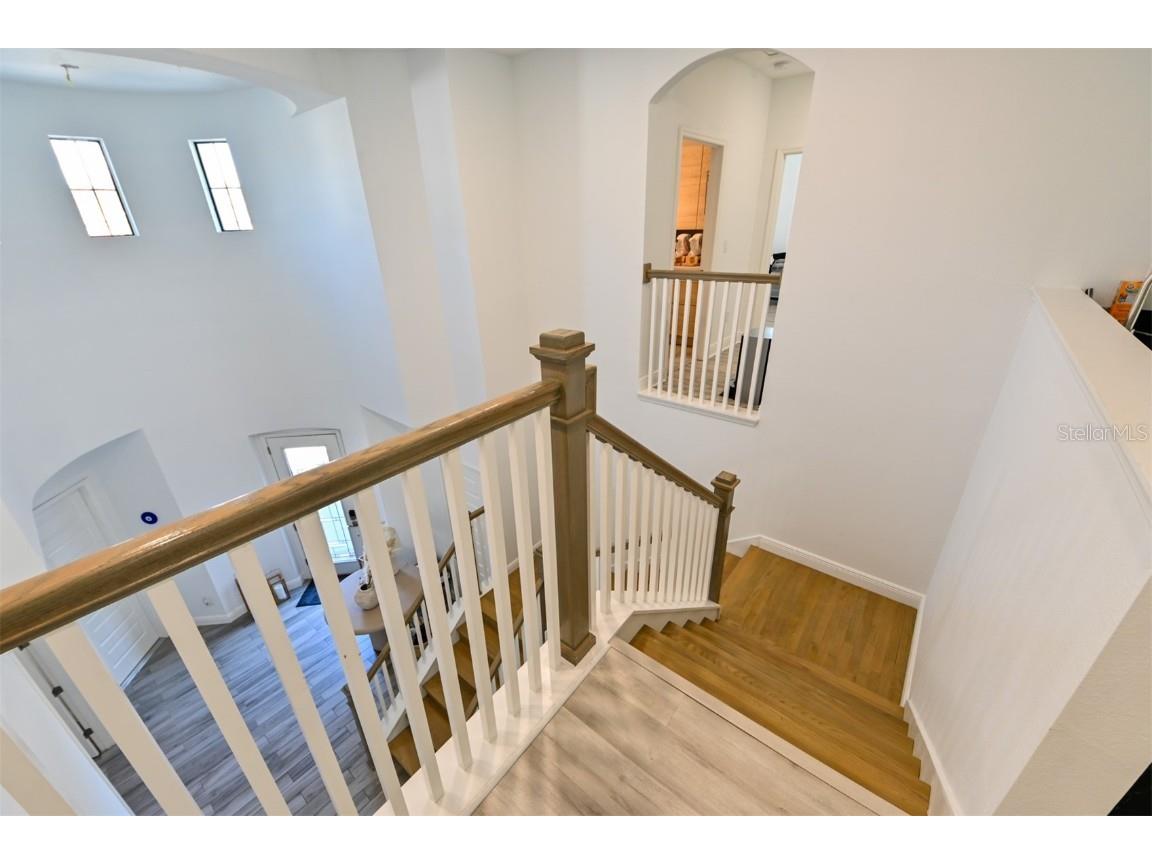 21878 Pristine Lake Boulevard Land O Lakes FL 34637 - ACCESS TO CURVE LAKE TB8451831 image41