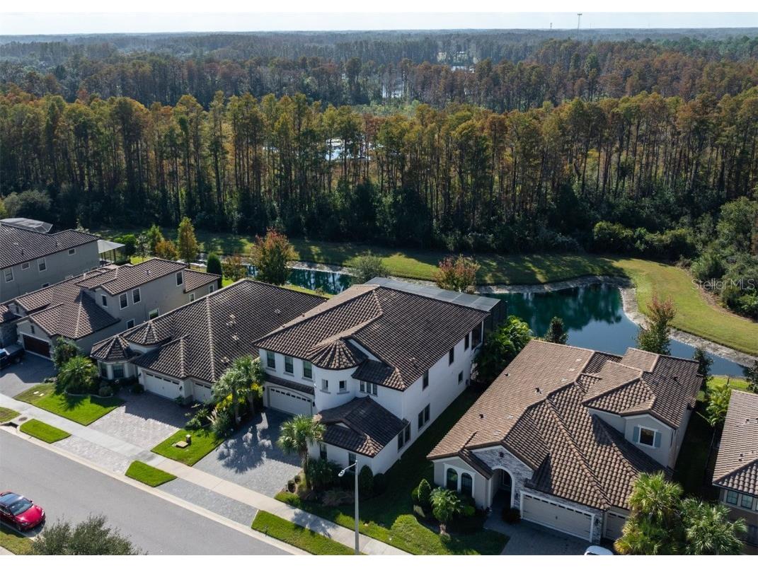 21878 Pristine Lake Boulevard Land O Lakes FL 34637 - ACCESS TO CURVE LAKE TB8451831 image42