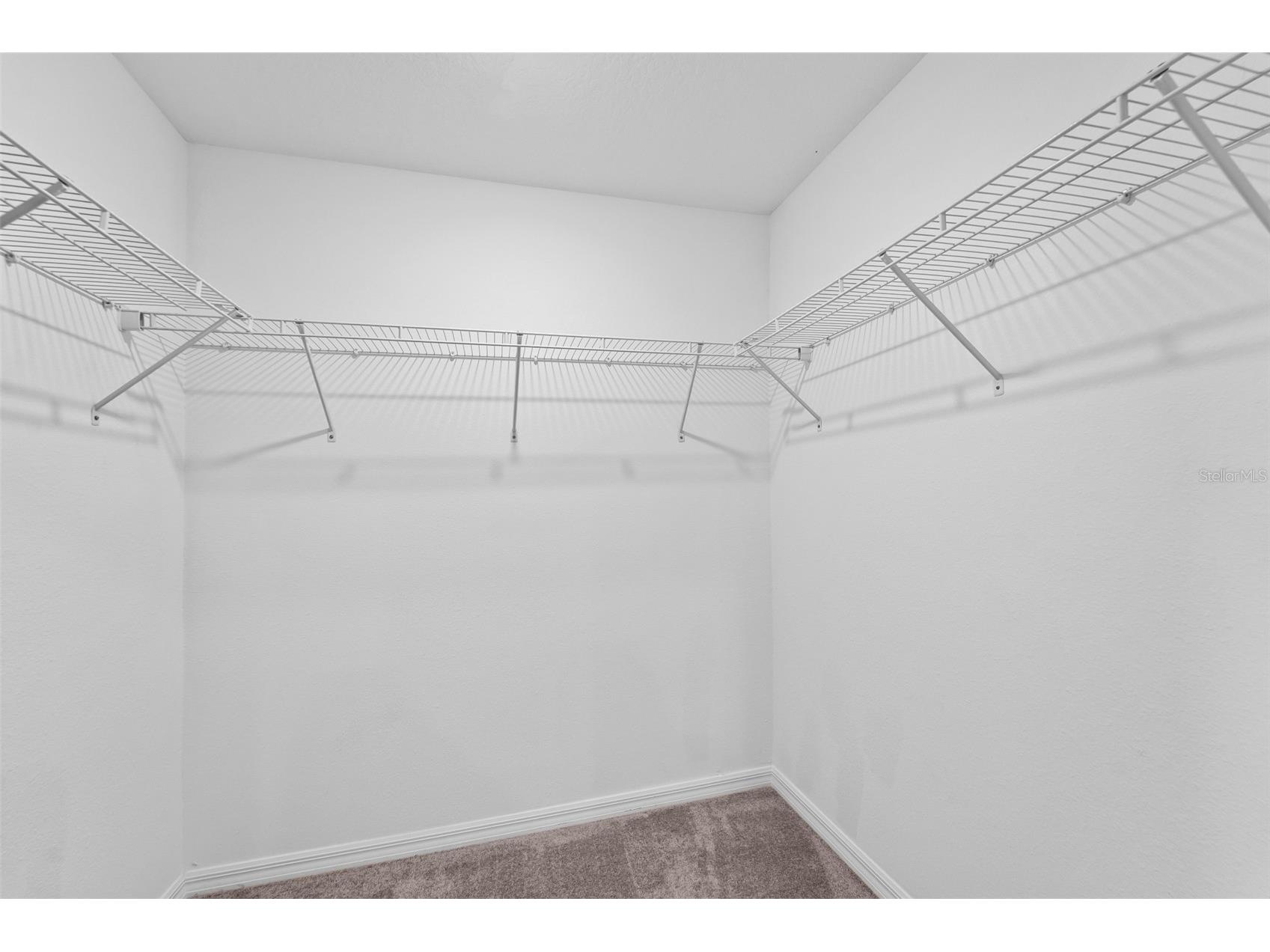 2188 Cerulean Sky Drive Lutz FL 33558 TB8515866 image15