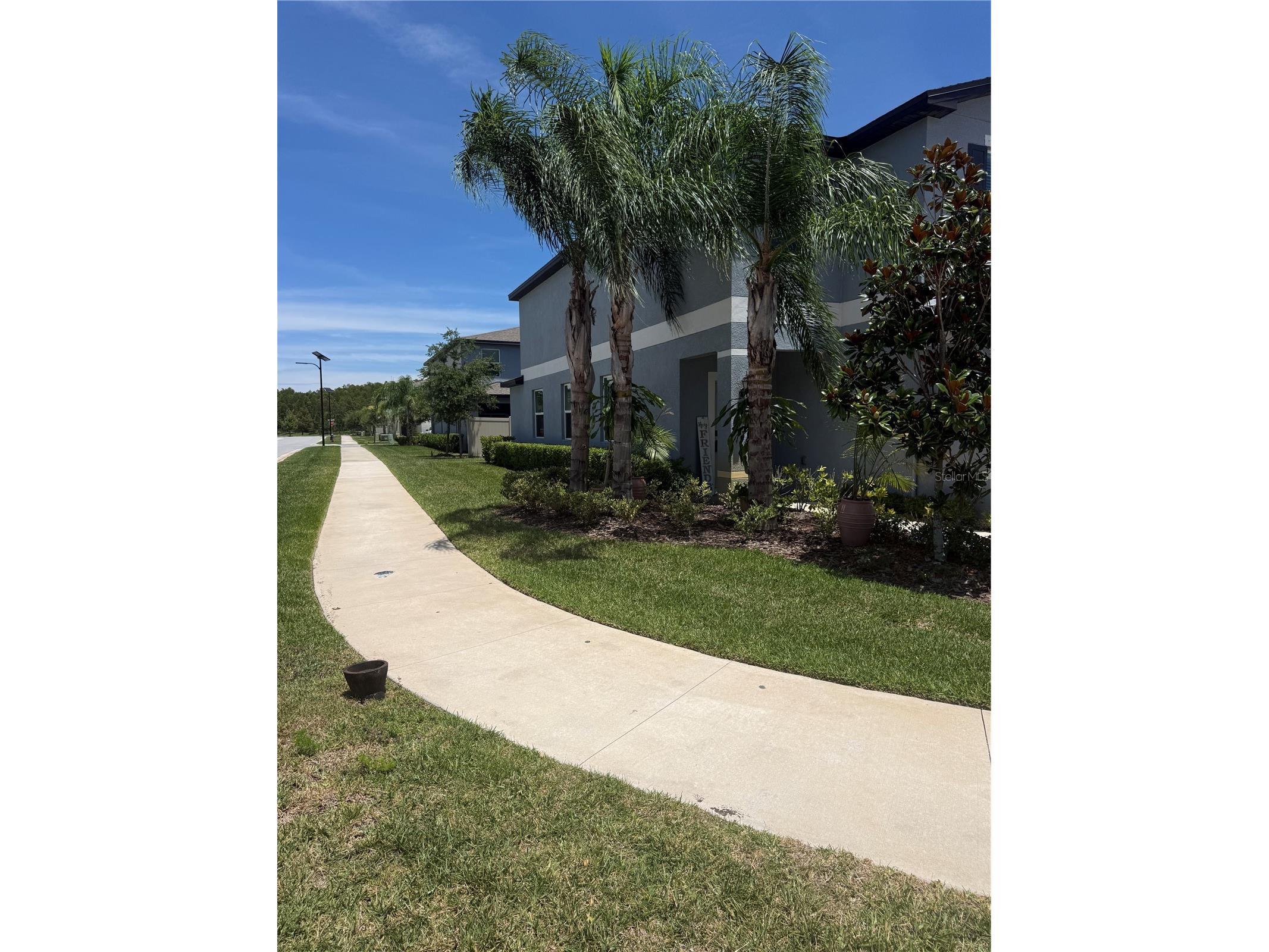 2188 Cerulean Sky Drive Lutz FL 33558 TB8515866 image30