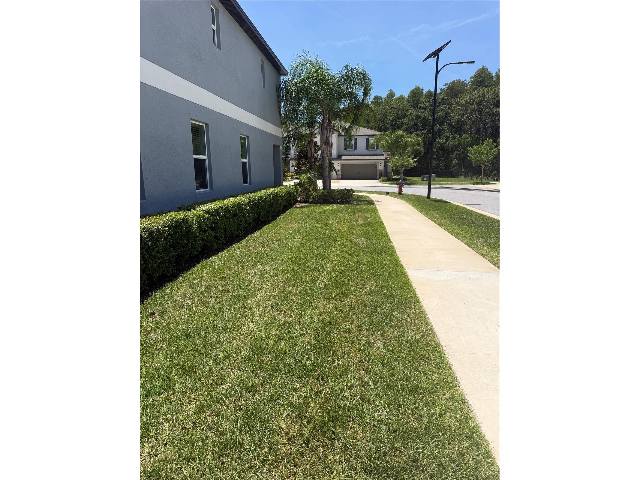 2188 Cerulean Sky Drive Lutz FL 33558 TB8515866 image31