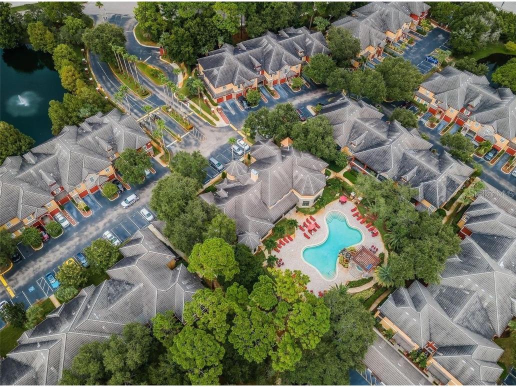 2188 Chianti Place #1028 Palm Harbor FL 34683 TB8424711 image32