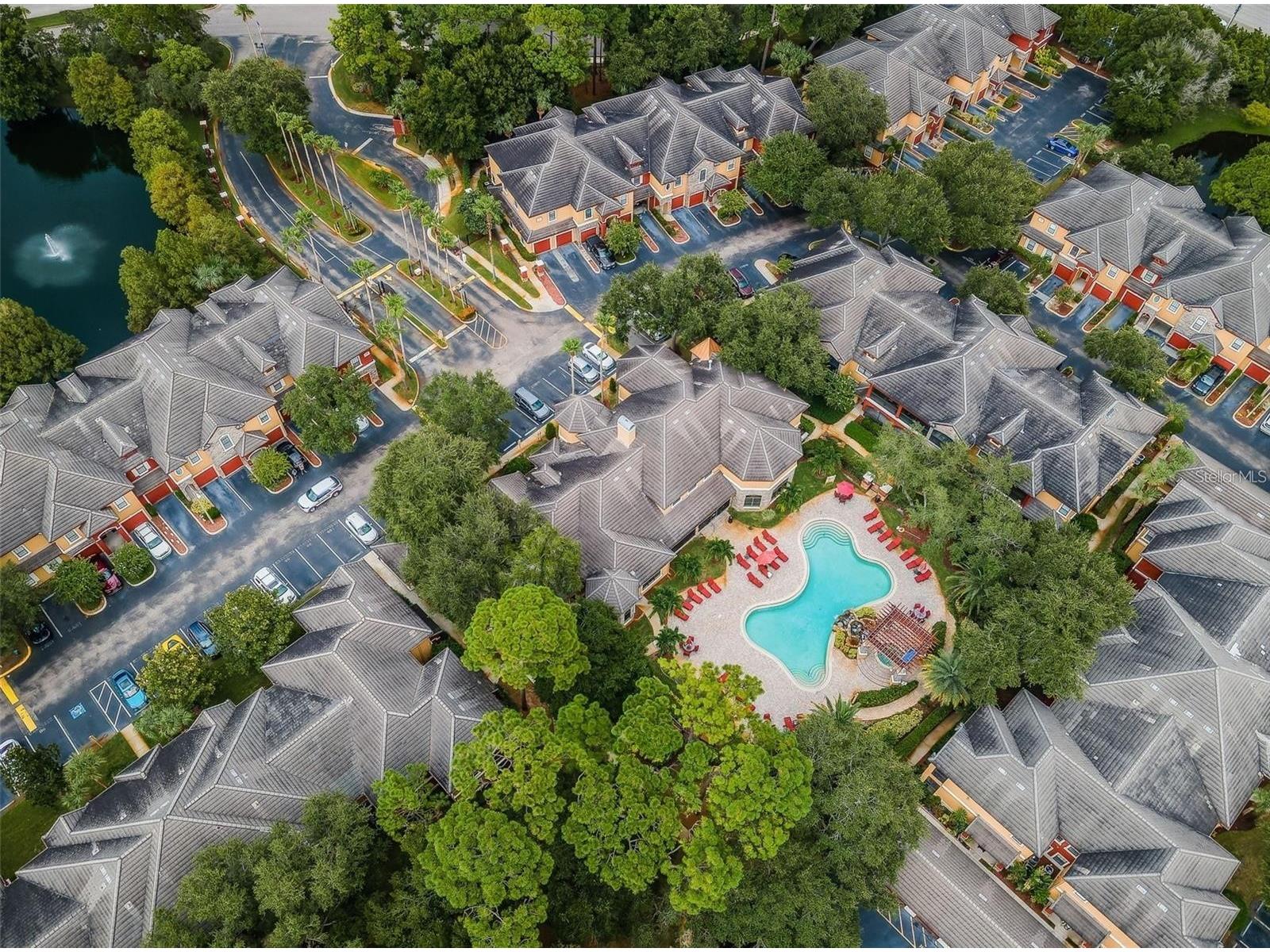 2188 Chianti Place #1028 Palm Harbor FL 34683 TB8479518 image35