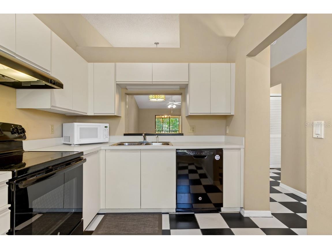 2188 Elm Street #1107 Dunedin FL 34698 TB8410644 image10