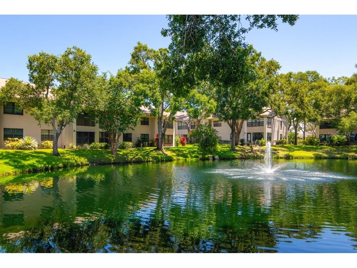 2188 Elm Street #1107 Dunedin FL 34698 TB8410644 image2