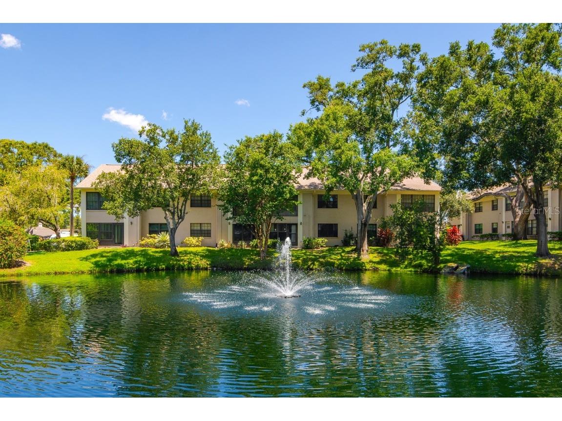 2188 Elm Street #1107 Dunedin FL 34698 TB8410644 image3