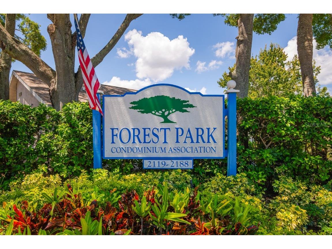 2188 Elm Street #1107 Dunedin FL 34698 TB8410644 image33