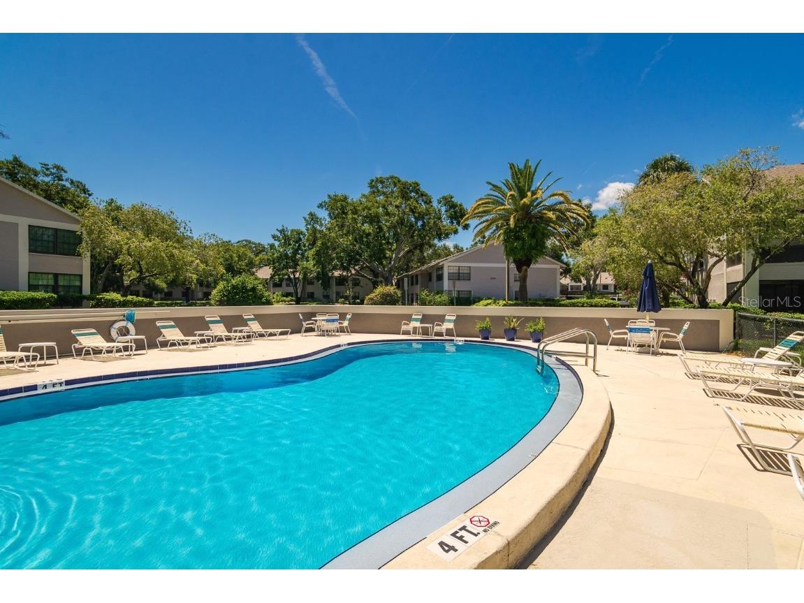 2188 Elm Street #1107 Dunedin FL 34698 TB8410644 image34