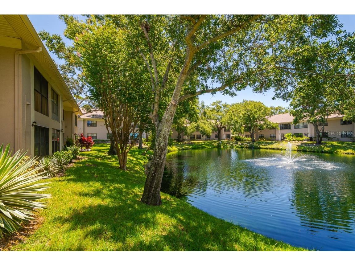 2188 Elm Street #1107 Dunedin FL 34698 TB8410644 image35