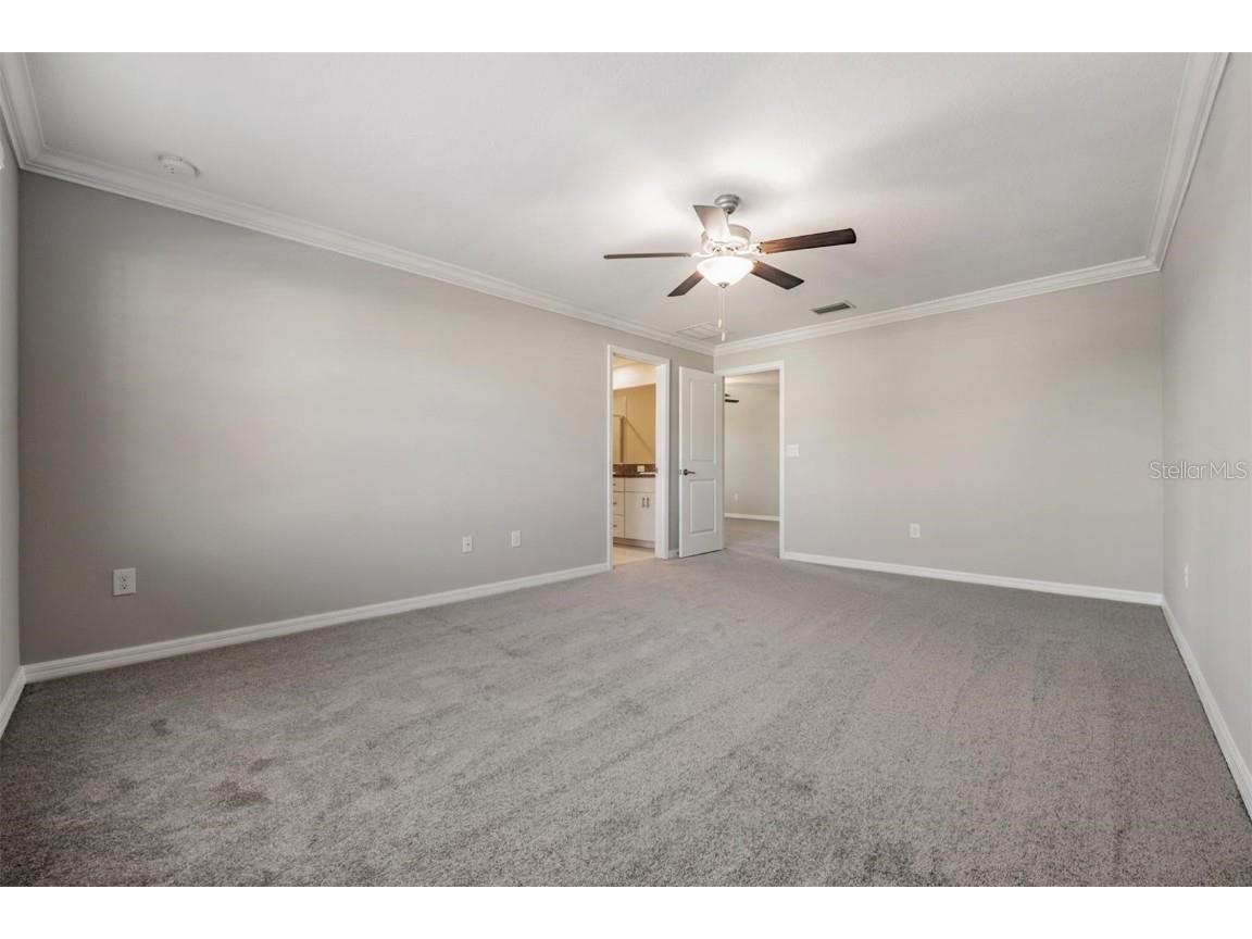 21884 Lyonia Lane Land O Lakes FL 34637 W7881732 image19