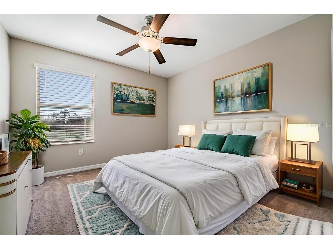 21884 Lyonia Lane Land O Lakes FL 34637 W7881732 image22