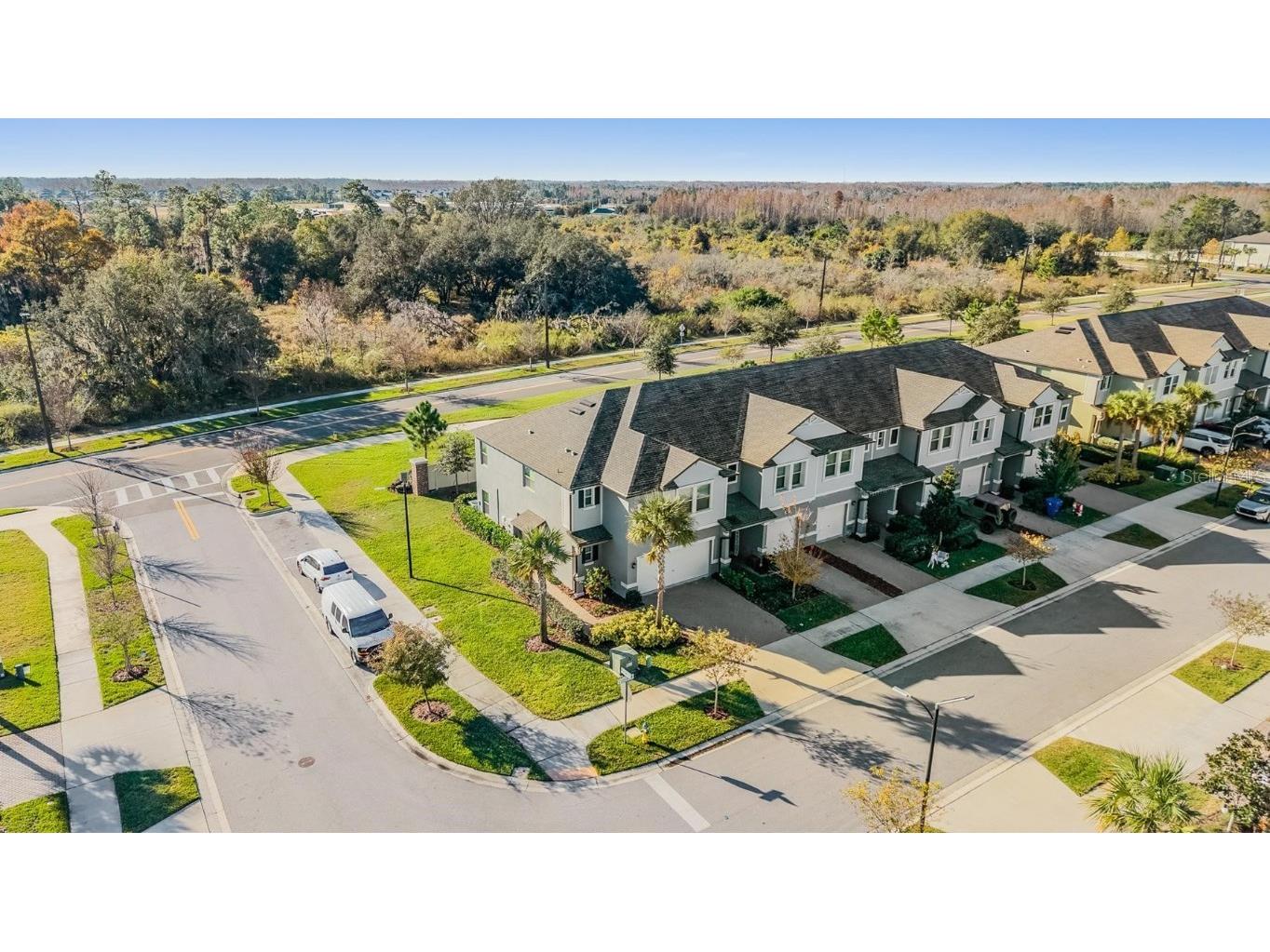 21884 Lyonia Lane Land O Lakes FL 34637 W7881732 image33