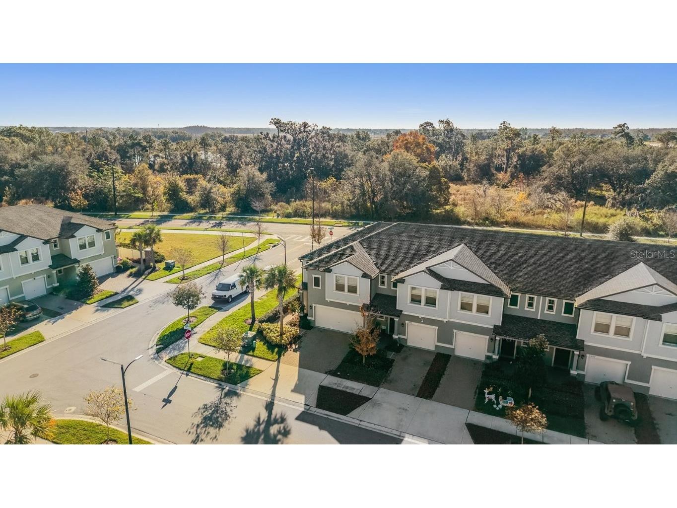 21884 Lyonia Lane Land O Lakes FL 34637 W7881732 image35