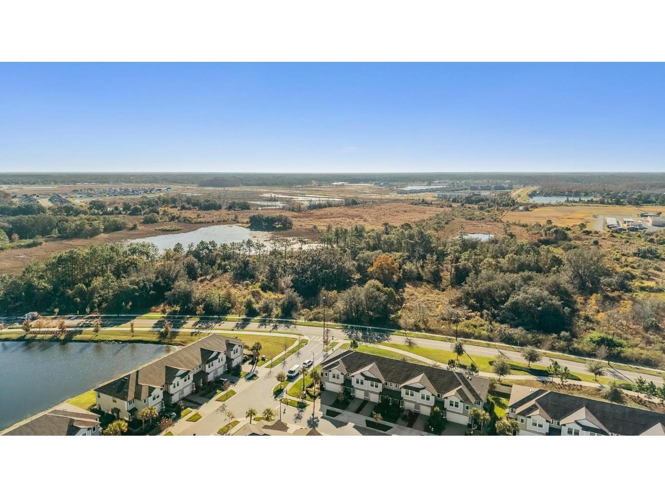 21884 Lyonia Lane Land O Lakes FL 34637 W7881732 image36