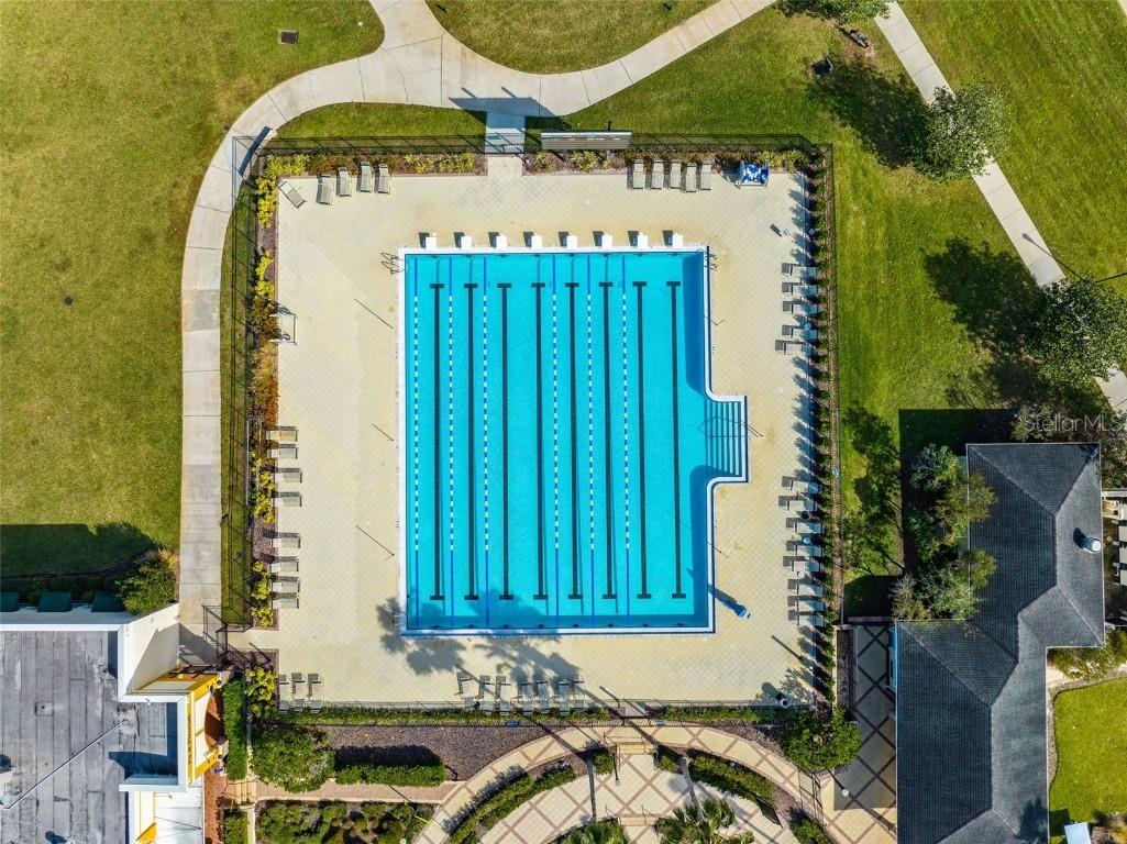 21884 Lyonia Lane Land O Lakes FL 34637 W7881732 image49