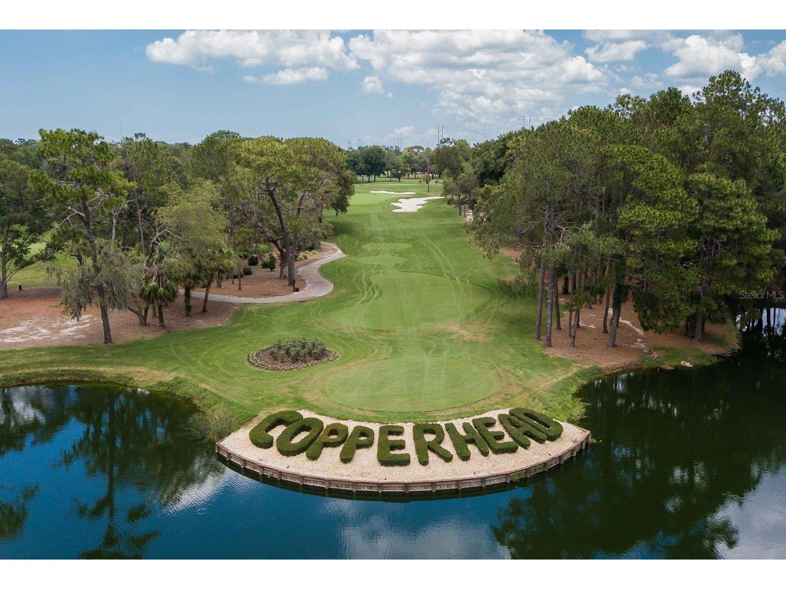 2189 Oak Forest Lane Palm Harbor FL 34683 W7886393 image3