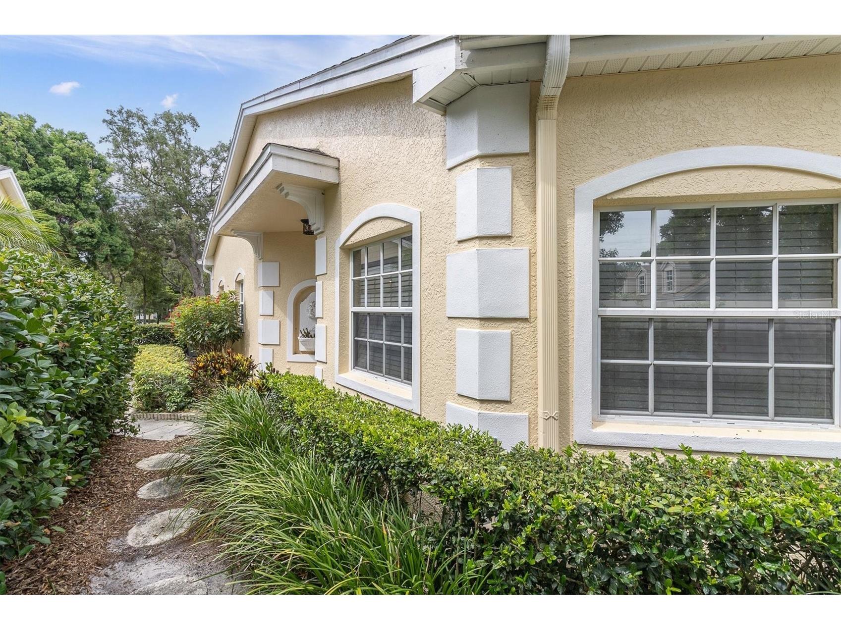 2189 Oak Forest Lane Palm Harbor FL 34683 W7886393 image4