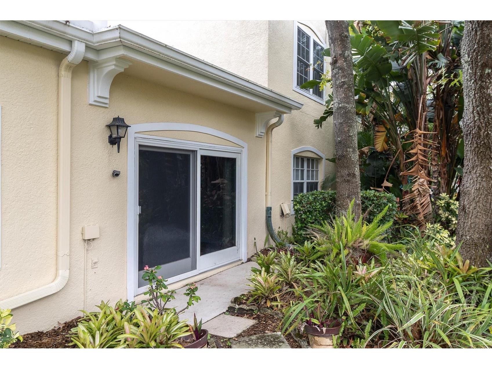 2189 Oak Forest Lane Palm Harbor FL 34683 W7886393 image41