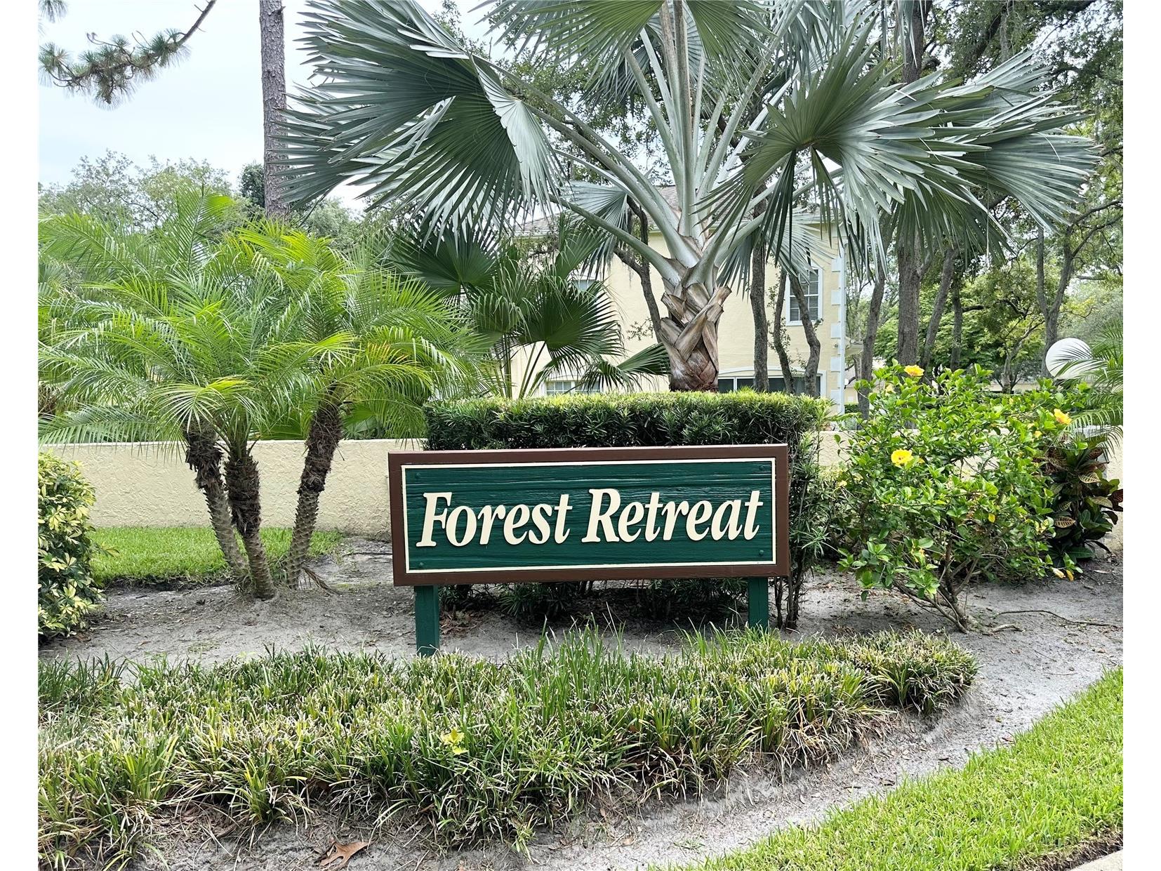 2189 Oak Forest Lane Palm Harbor FL 34683 W7886393 image42