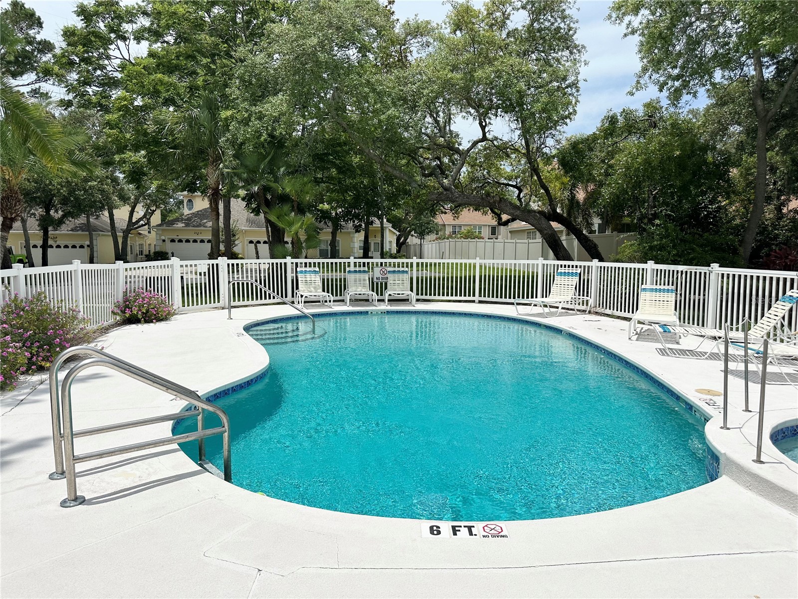 2189 Oak Forest Lane Palm Harbor FL 34683 W7886393 image46