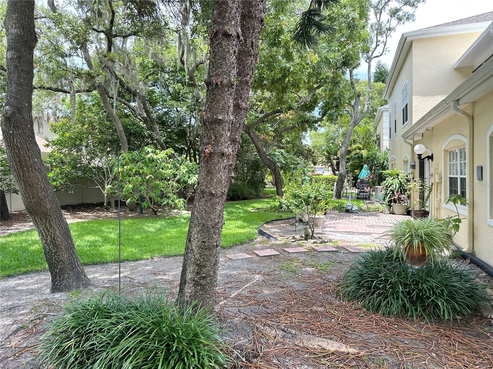 2189 Oak Forest Lane Palm Harbor FL 34683 W7886393 image47