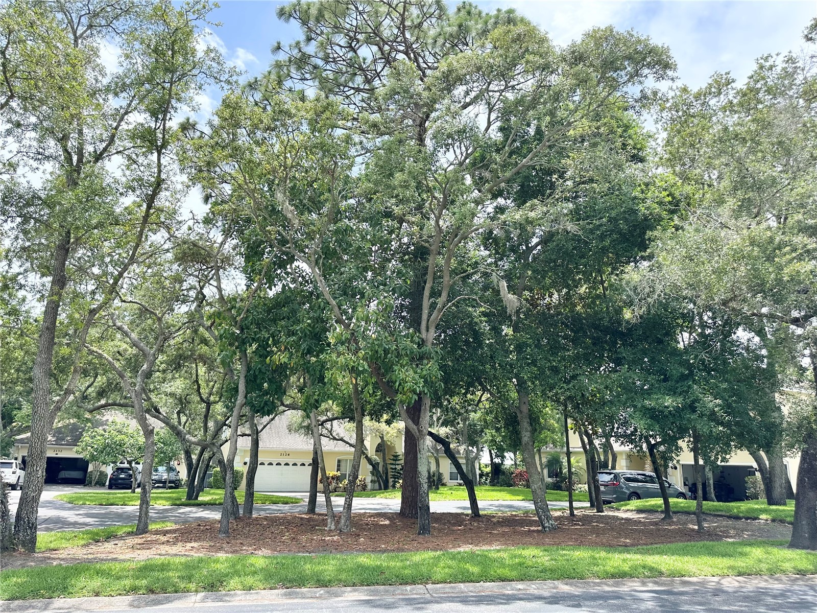 2189 Oak Forest Lane Palm Harbor FL 34683 W7886393 image48