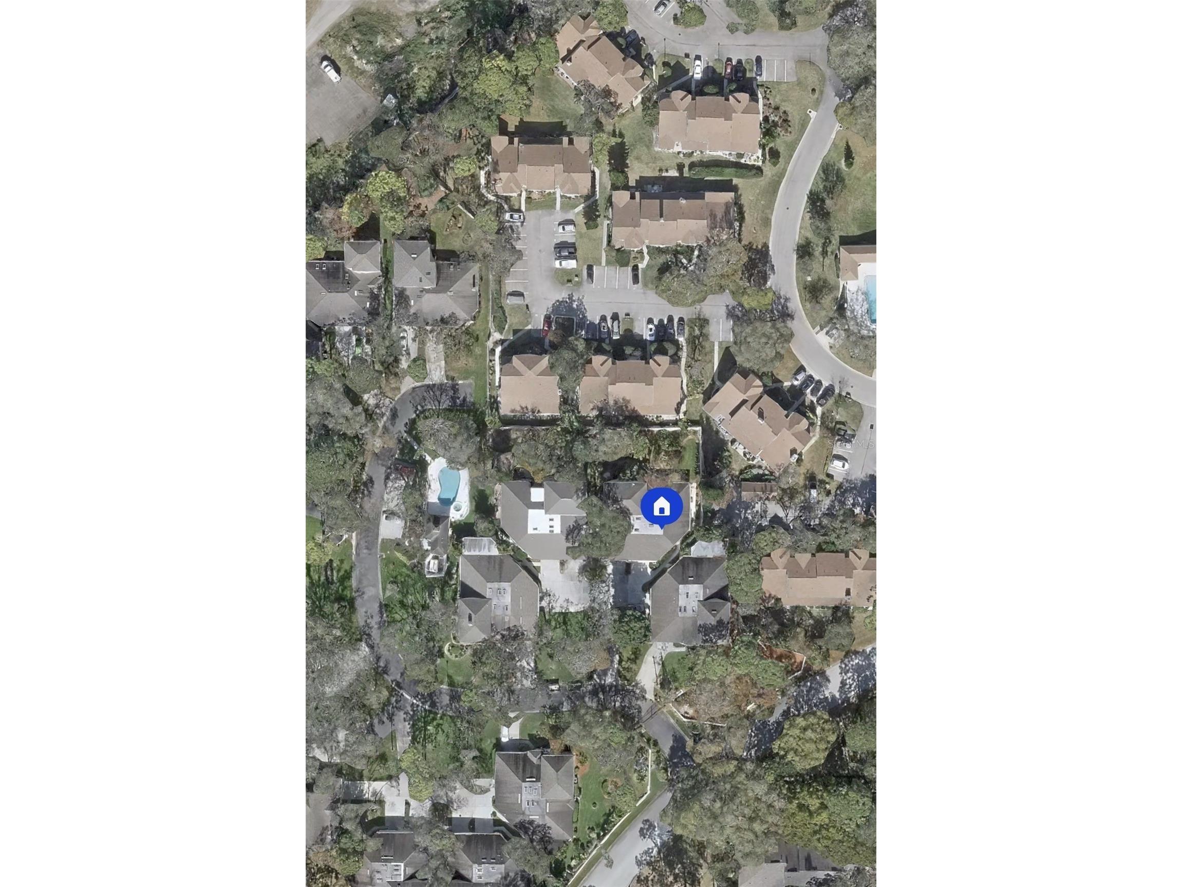 2189 Oak Forest Lane Palm Harbor FL 34683 W7886393 image51