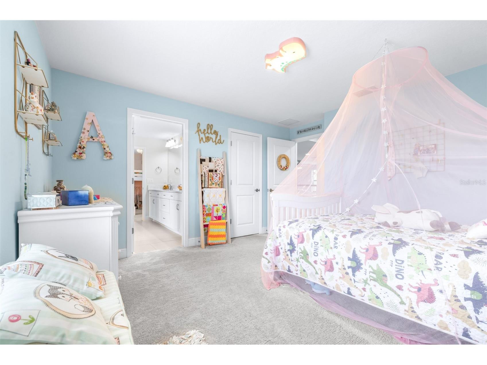 21896 Emory Oak Place Land O Lakes FL 34637 TB8507638 image47