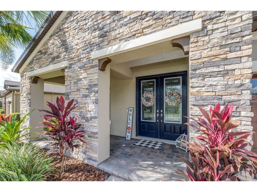 21896 Emory Oak Place Land O Lakes FL 34637 TB8507638 image5