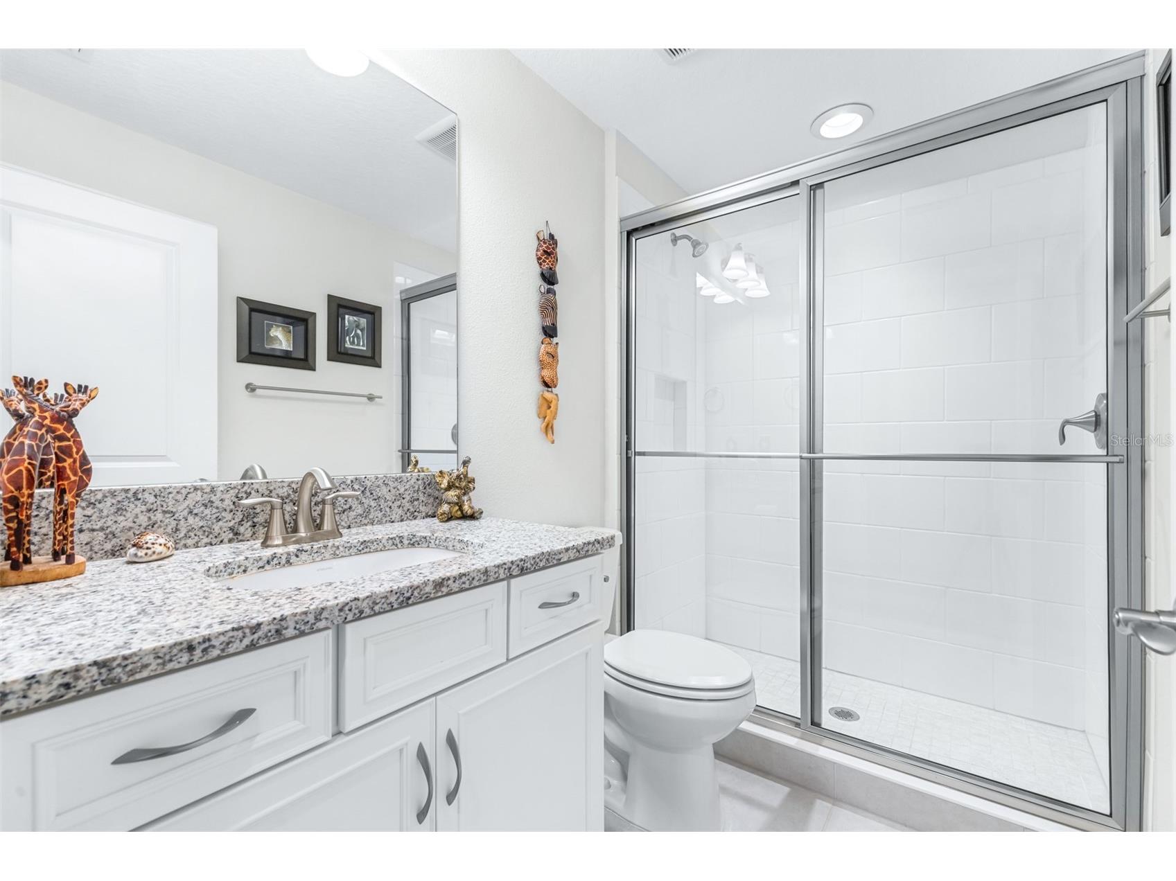 21896 Emory Oak Place Land O Lakes FL 34637 TB8507638 image51