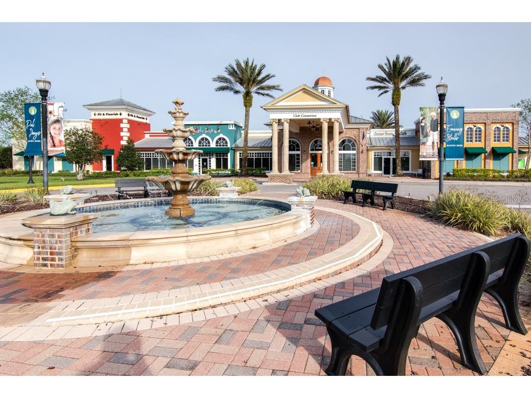 21896 Emory Oak Place Land O Lakes FL 34637 TB8507638 image77