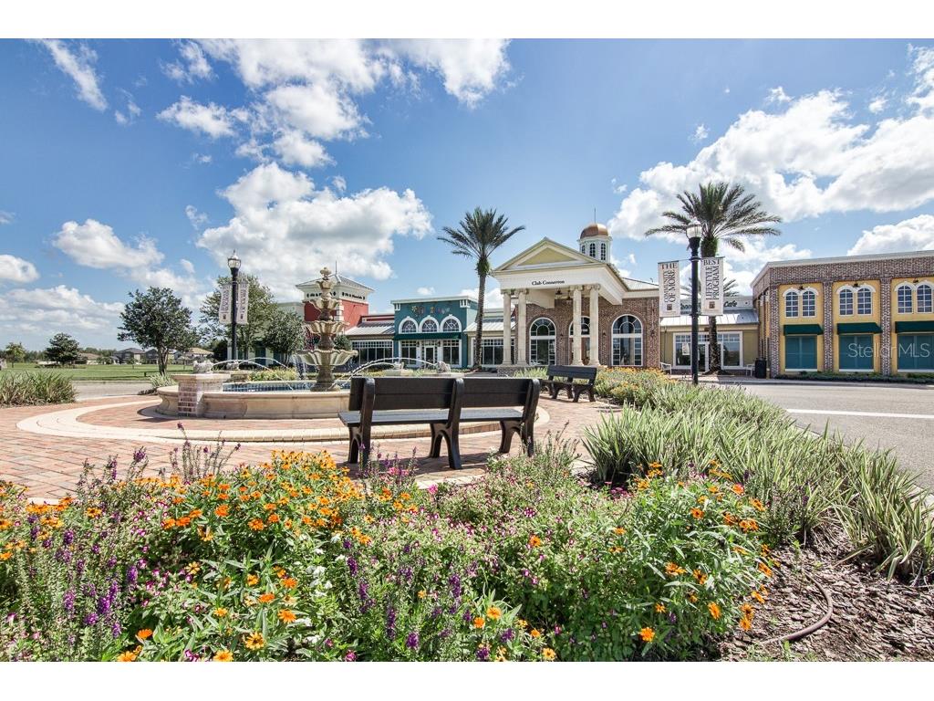 21896 Emory Oak Place Land O Lakes FL 34637 TB8507638 image78