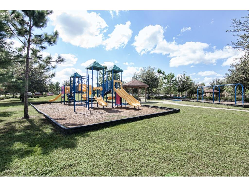 21896 Emory Oak Place Land O Lakes FL 34637 TB8507638 image84