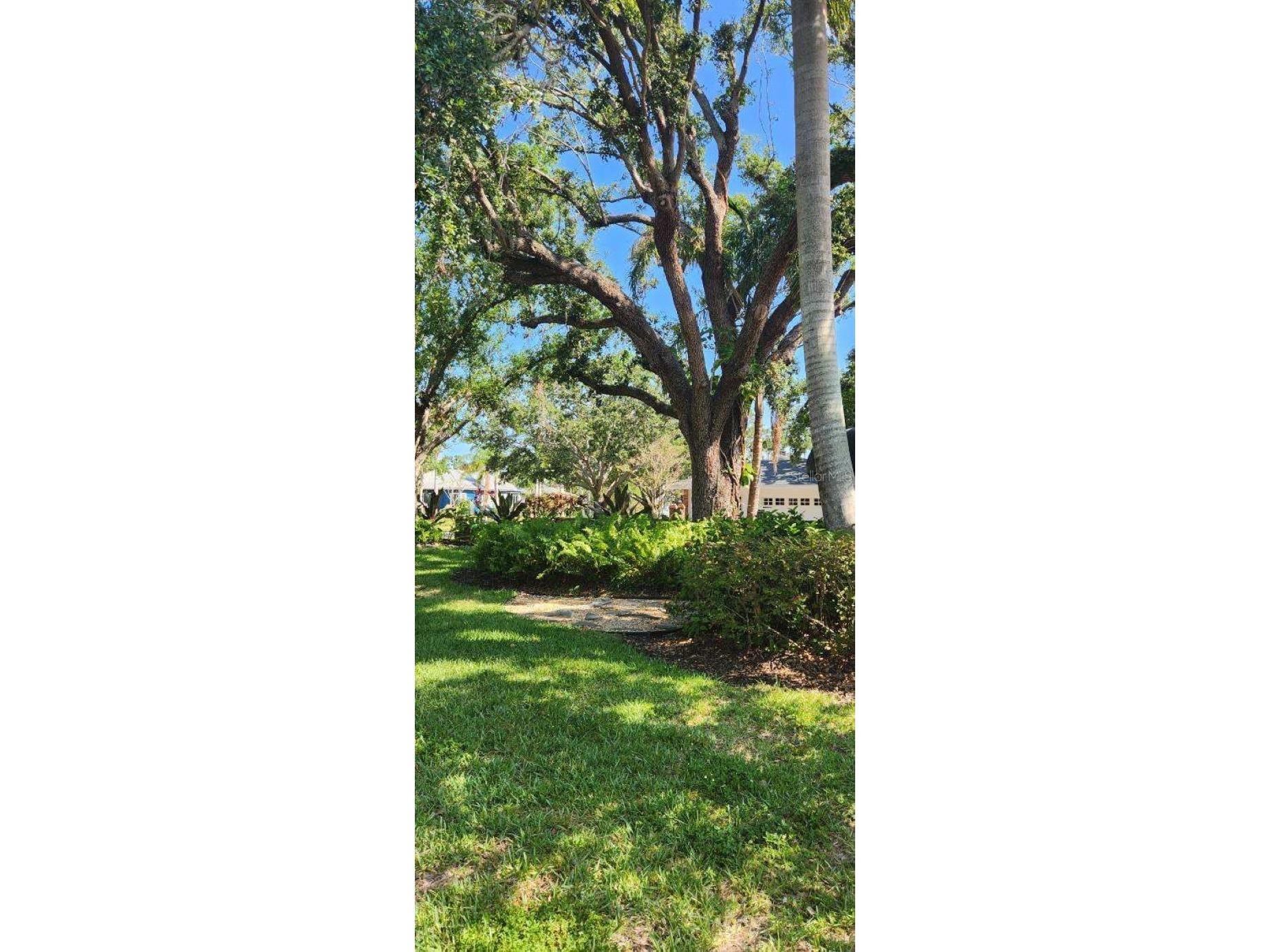 219 24th Street W Bradenton FL 34205 TB8471399 image4