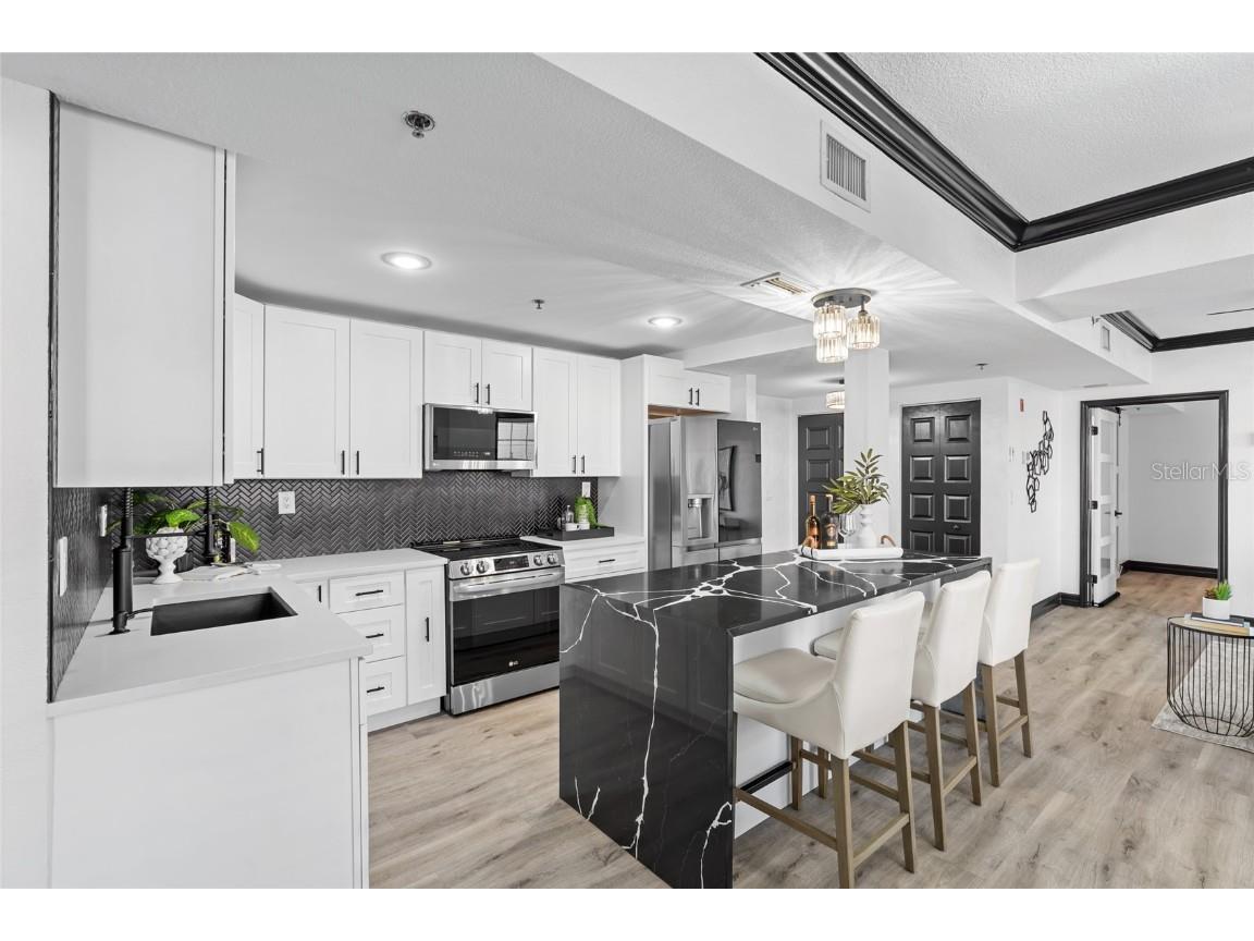 219 4th Avenue N #201 Saint Petersburg FL 33701 TB8451078 image8